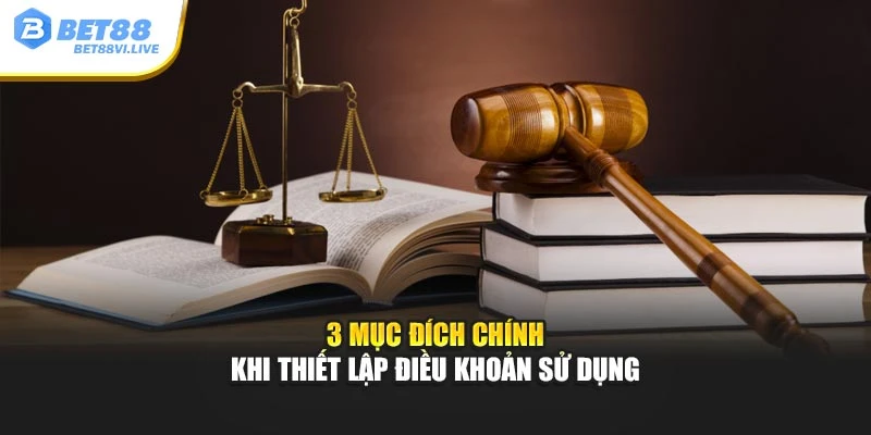 3 mục đích chính khi thiết lập điều khoản sử dụng