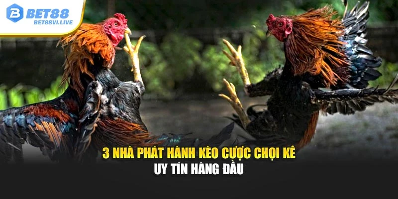 3 nhà phát hành kèo cược chọi kê uy tín hàng đầu