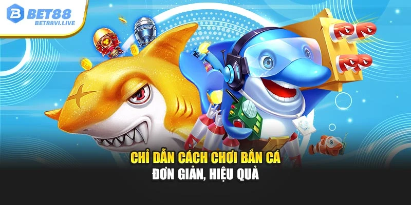 Chỉ dẫn cách chơi bắn cá đơn giản, hiệu quả