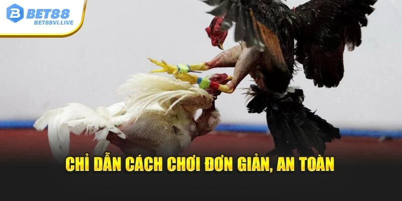 Chỉ dẫn cách chơi đơn giản, an toàn