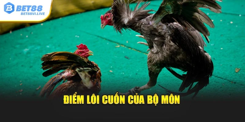 Điểm lôi cuốn của bộ môn