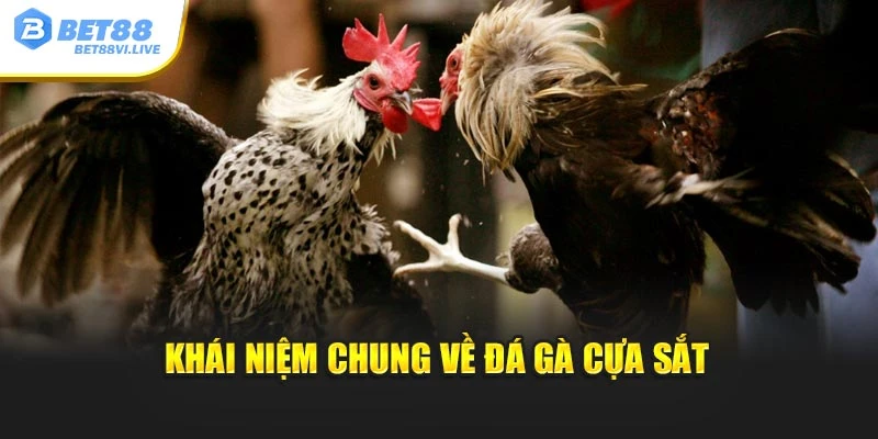 Khái niệm chung về kiểu đá gà cựa sắt
